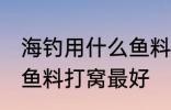 海钓用什么鱼料打窝最好 海钓用哪些鱼料打窝最好