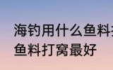 海钓用什么鱼料打窝最好 海钓用哪些鱼料打窝最好