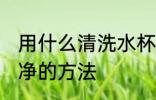 用什么清洗水杯更干净 清洗水杯更干净的方法
