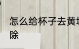 怎么给杯子去黄垢 杯子的黄垢如何去除