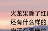 火龙果除了红皮红肉红皮白肉这两种还有什么样的 火龙果红皮红肉红皮白肉还有怎样的
