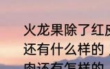 火龙果除了红皮红肉红皮白肉这两种还有什么样的 火龙果红皮红肉红皮白肉还有怎样的