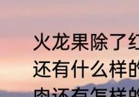 火龙果除了红皮红肉红皮白肉这两种还有什么样的 火龙果红皮红肉红皮白肉还有怎样的