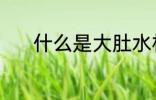 什么是大肚水杯 何谓大肚水杯
