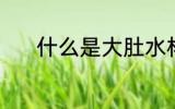 什么是大肚水杯 何谓大肚水杯