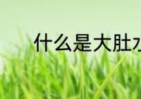 什么是大肚水杯 何谓大肚水杯