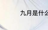 九月是什么 什么是九月