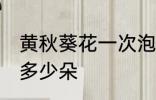 黄秋葵花一次泡几朵 黄秋葵花一次泡多少朵