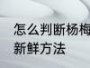 怎么判断杨梅新不新鲜 判断杨梅新不新鲜方法