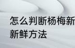 怎么判断杨梅新不新鲜 判断杨梅新不新鲜方法