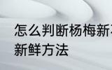 怎么判断杨梅新不新鲜 判断杨梅新不新鲜方法