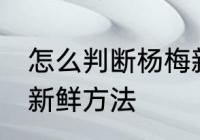 怎么判断杨梅新不新鲜 判断杨梅新不新鲜方法